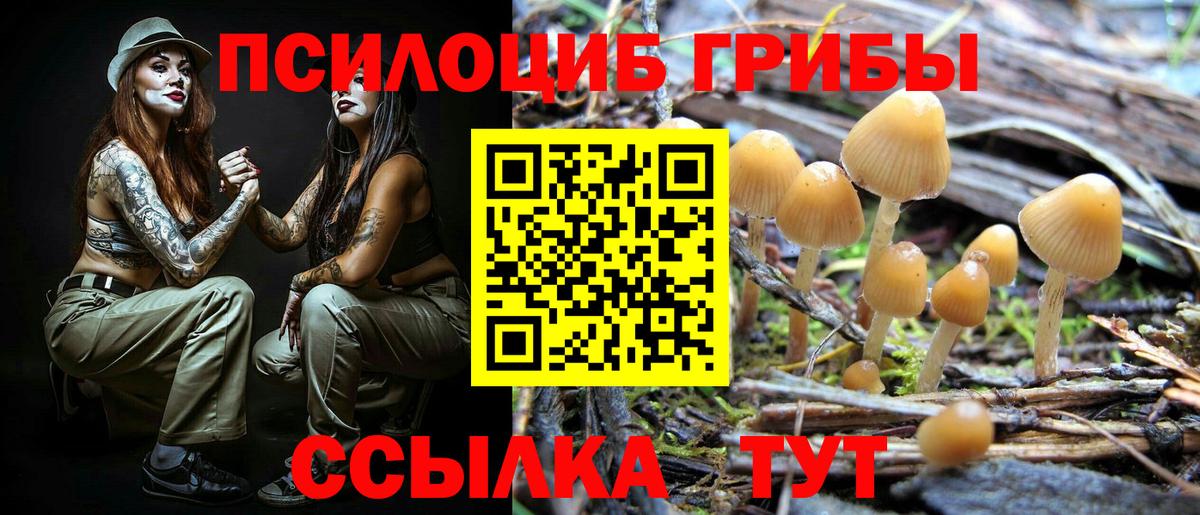 Новоуральск  Галлюциногенные грибы ЛСД  Вход с VPN 