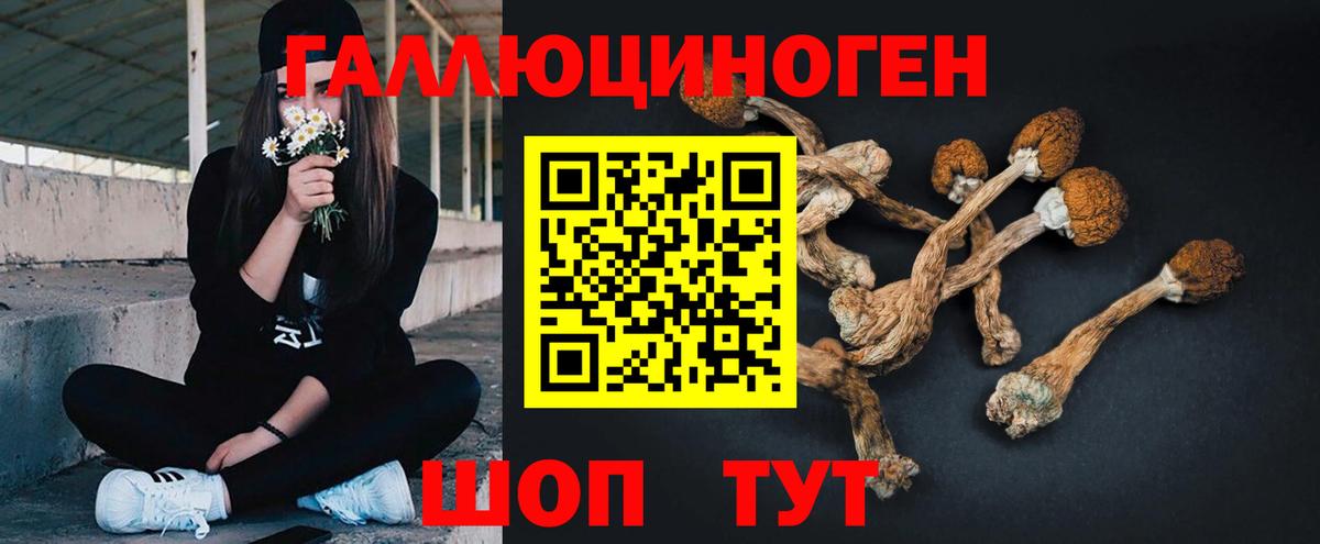 Галлюциногенные грибы ЛСД Новоуральск
